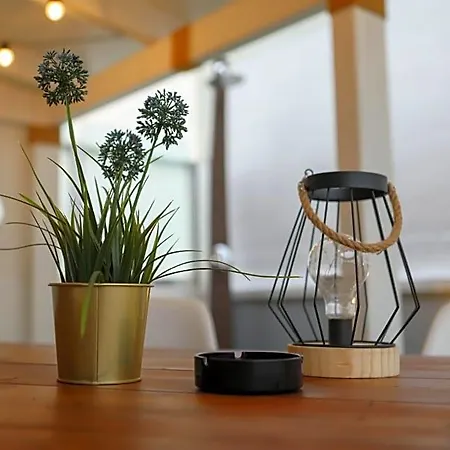 Terrazza Piccinni Бари